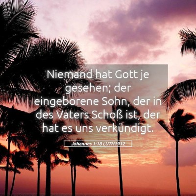 Picture 05 - Johannes 1:18 LUTH1912 - Niemand hat Gott je gesehen; der eingeborene - Bible Verse Picture