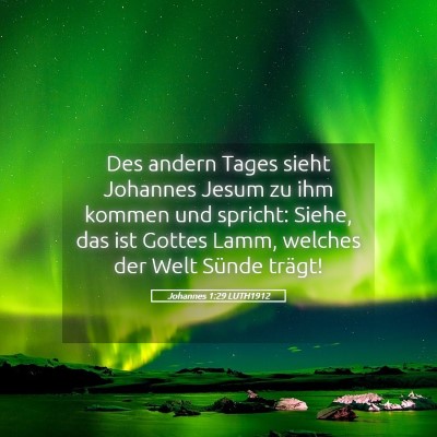 Picture 05 - Johannes 1:29 LUTH1912 - Des andern Tages sieht Johannes Jesum zu ihm - Bible Verse Picture