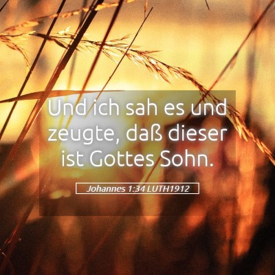 Picture 05 - Johannes 1:34 LUTH1912 - Und ich sah es und zeugte, daß dieser ist Gottes - Bible Verse Picture