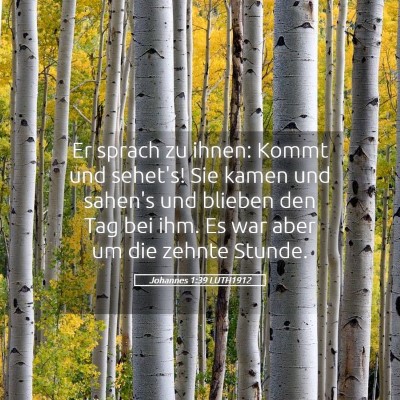 Picture 05 - Johannes 1:39 LUTH1912 - Er sprach zu ihnen: Kommt und sehet's! Sie kamen - Bible Verse Picture