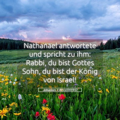 Picture 05 - Johannes 1:49 LUTH1912 - Nathanael antwortete und spricht zu ihm: Rabbi, - Bible Verse Picture