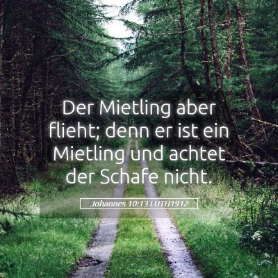 Picture 05 - Johannes 10:13 LUTH1912 - Der Mietling aber flieht; denn er ist ein - Bible Verse Picture