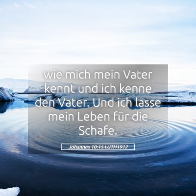 Picture 05 - Johannes 10:15 LUTH1912 - wie mich mein Vater kennt und ich kenne den - Bible Verse Picture