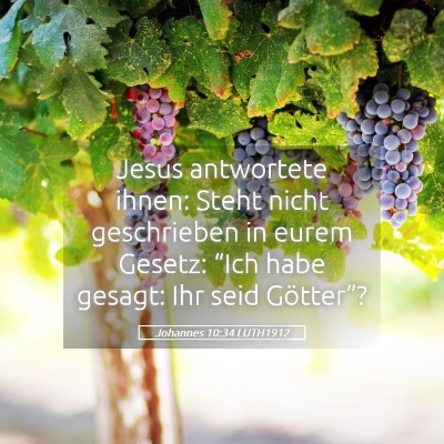 Picture 05 - Johannes 10:34 LUTH1912 - Jesus antwortete ihnen: Steht nicht geschrieben - Bible Verse Picture