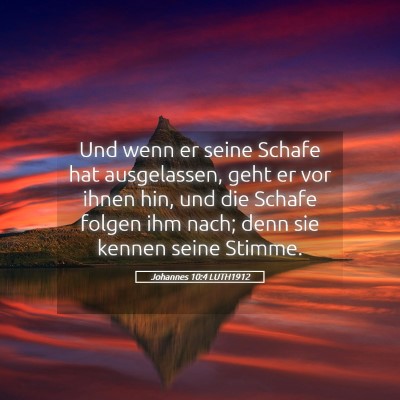 Picture 05 - Johannes 10:4 LUTH1912 - Und wenn er seine Schafe hat ausgelassen, geht er - Bible Verse Picture