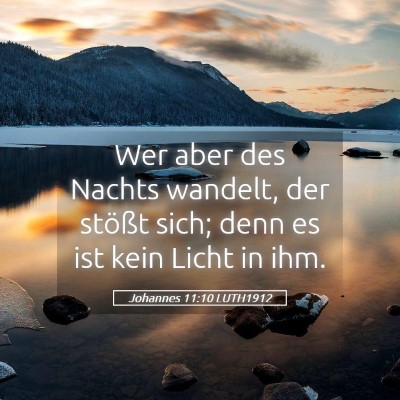 Picture 05 - Johannes 11:10 LUTH1912 - Wer aber des Nachts wandelt, der stößt sich; - Bible Verse Picture