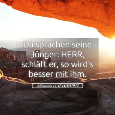 Picture 05 - Johannes 11:12 LUTH1912 - Da sprachen seine Jünger: HERR, schläft er, so - Bible Verse Picture
