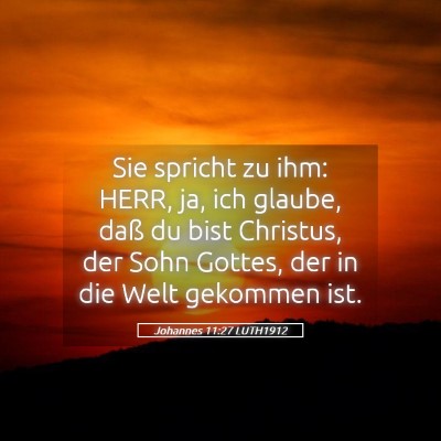 Picture 05 - Johannes 11:27 LUTH1912 - Sie spricht zu ihm: HERR, ja, ich glaube, daß du - Bible Verse Picture