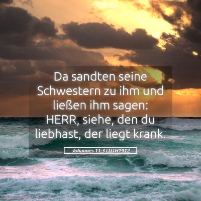 Picture 05 - Johannes 11:3 LUTH1912 - Da sandten seine Schwestern zu ihm und ließen - Bible Verse Picture