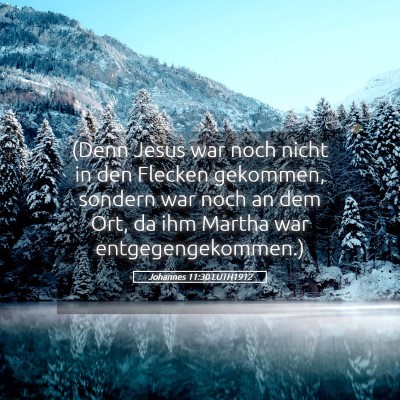 Picture 05 - Johannes 11:30 LUTH1912 - (Denn Jesus war noch nicht in den Flecken - Bible Verse Picture