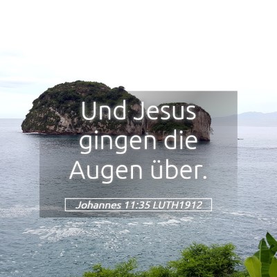 Picture 05 - Johannes 11:35 LUTH1912 - Und Jesus gingen die Augen - Bible Verse Picture