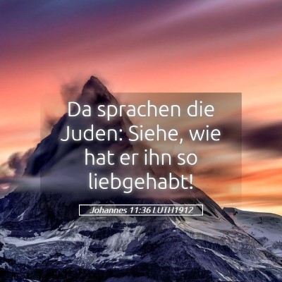 Picture 05 - Johannes 11:36 LUTH1912 - Da sprachen die Juden: Siehe, wie hat er ihn so - Bible Verse Picture