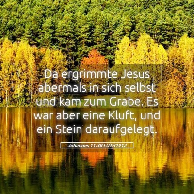 Picture 05 - Johannes 11:38 LUTH1912 - Da ergrimmte Jesus abermals in sich selbst und - Bible Verse Picture