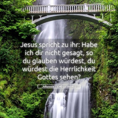 Picture 05 - Johannes 11:40 LUTH1912 - Jesus spricht zu ihr: Habe ich dir nicht gesagt, - Bible Verse Picture