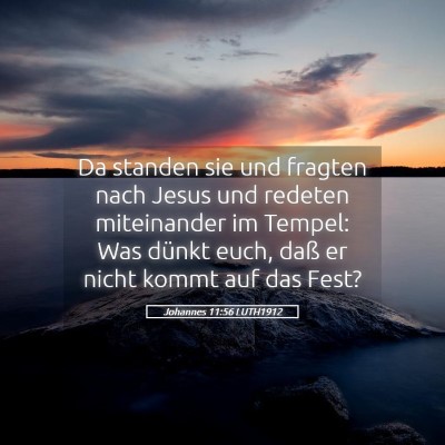 Picture 05 - Johannes 11:56 LUTH1912 - Da standen sie und fragten nach Jesus und redeten - Bible Verse Picture
