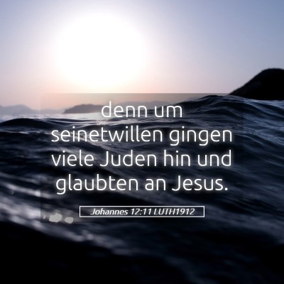 Picture 05 - Johannes 12:11 LUTH1912 - denn um seinetwillen gingen viele Juden hin und - Bible Verse Picture