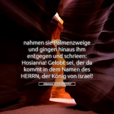 Picture 05 - Johannes 12:13 LUTH1912 - nahmen sie Palmenzweige und gingen hinaus ihm - Bible Verse Picture