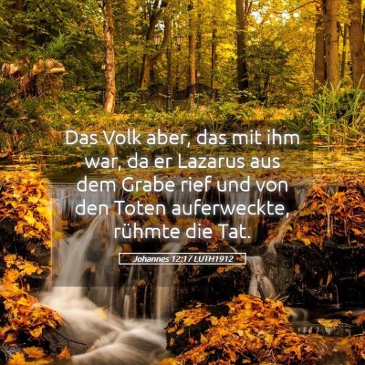 Picture 05 - Johannes 12:17 LUTH1912 - Das Volk aber, das mit ihm war, da er Lazarus aus - Bible Verse Picture