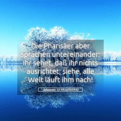 Picture 05 - Johannes 12:19 LUTH1912 - Die Pharisäer aber sprachen untereinander: Ihr - Bible Verse Picture
