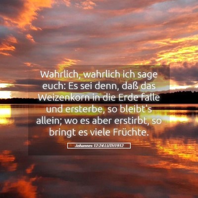 Picture 05 - Johannes 12:24 LUTH1912 - Wahrlich, wahrlich ich sage euch: Es sei denn, - Bible Verse Picture