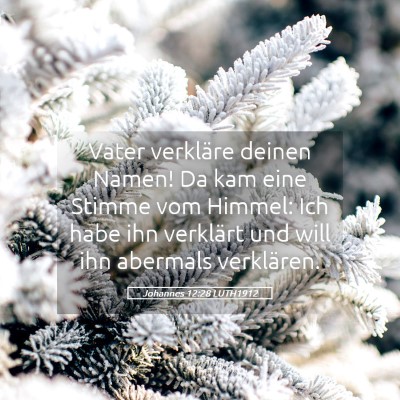 Picture 05 - Johannes 12:28 LUTH1912 - Vater verkläre deinen Namen! Da kam eine Stimme - Bible Verse Picture