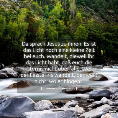 Picture 05 - Johannes 12:35 LUTH1912 - Da sprach Jesus zu ihnen: Es ist das Licht noch - Bible Verse Picture