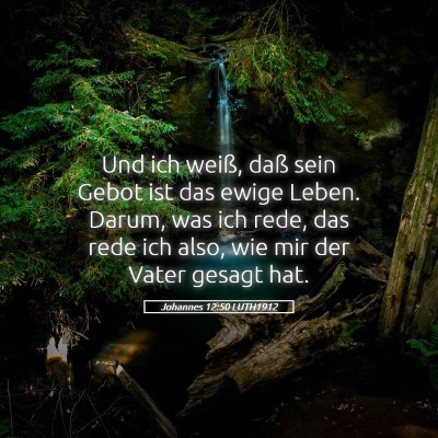 Picture 05 - Johannes 12:50 LUTH1912 - Und ich weiß, daß sein Gebot ist das ewige - Bible Verse Picture