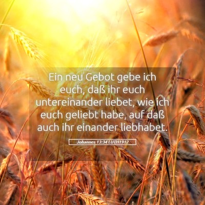 Picture 05 - Johannes 13:34 LUTH1912 - Ein neu Gebot gebe ich euch, daß ihr euch - Bible Verse Picture