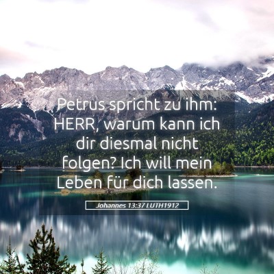 Picture 05 - Johannes 13:37 LUTH1912 - Petrus spricht zu ihm: HERR, warum kann ich dir - Bible Verse Picture