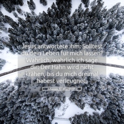 Picture 05 - Johannes 13:38 LUTH1912 - Jesus antwortete ihm: Solltest du dein Leben für - Bible Verse Picture