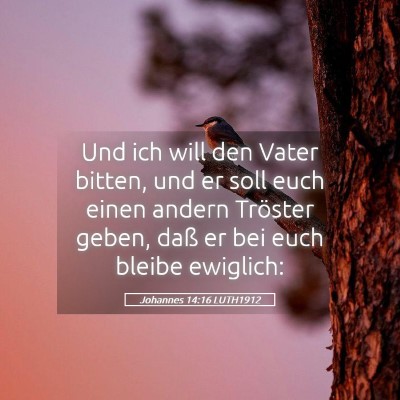 Picture 05 - Johannes 14:16 LUTH1912 - Und ich will den Vater bitten, und er soll euch - Bible Verse Picture