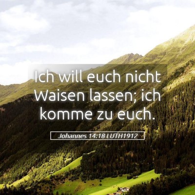 Picture 05 - Johannes 14:18 LUTH1912 - Ich will euch nicht Waisen lassen; ich komme zu - Bible Verse Picture