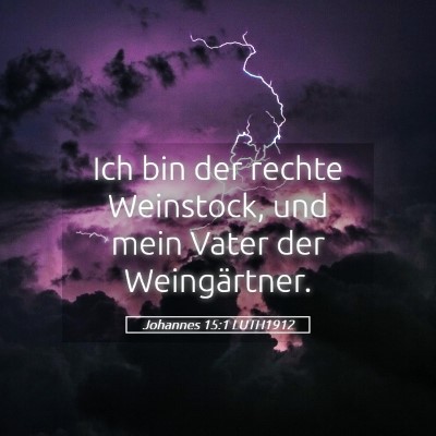 Picture 05 - Johannes 15:1 LUTH1912 - Ich bin der rechte Weinstock, und mein Vater der - Bible Verse Picture