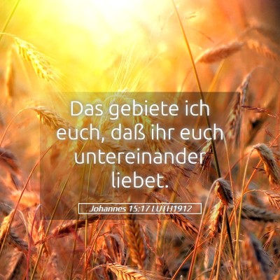 Picture 05 - Johannes 15:17 LUTH1912 - Das gebiete ich euch, daß ihr euch untereinander - Bible Verse Picture