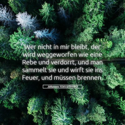 Picture 05 - Johannes 15:6 LUTH1912 - Wer nicht in mir bleibt, der wird weggeworfen wie - Bible Verse Picture