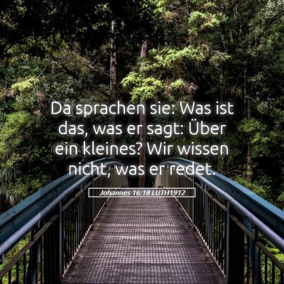 Picture 05 - Johannes 16:18 LUTH1912 - Da sprachen sie: Was ist das, was er sagt: Über - Bible Verse Picture