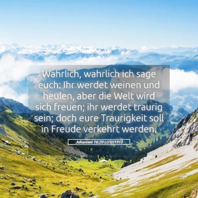 Picture 05 - Johannes 16:20 LUTH1912 - Wahrlich, wahrlich ich sage euch: Ihr werdet - Bible Verse Picture