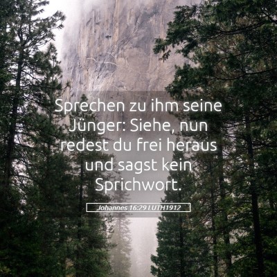 Picture 05 - Johannes 16:29 LUTH1912 - Sprechen zu ihm seine Jünger: Siehe, nun redest - Bible Verse Picture