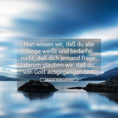 Picture 05 - Johannes 16:30 LUTH1912 - Nun wissen wir, daß du alle Dinge weißt und - Bible Verse Picture