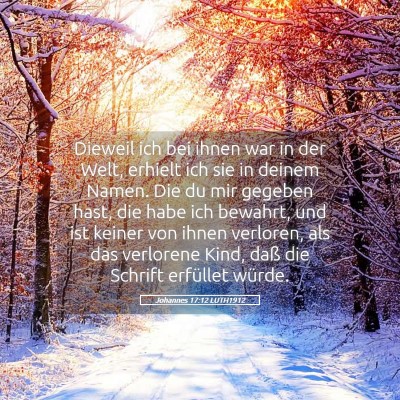 Picture 05 - Johannes 17:12 LUTH1912 - Dieweil ich bei ihnen war in der Welt, erhielt - Bible Verse Picture