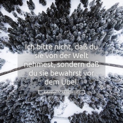 Picture 05 - Johannes 17:15 LUTH1912 - Ich bitte nicht, daß du sie von der Welt - Bible Verse Picture