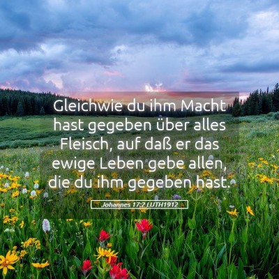 Picture 05 - Johannes 17:2 LUTH1912 - Gleichwie du ihm Macht hast gegeben über alles - Bible Verse Picture