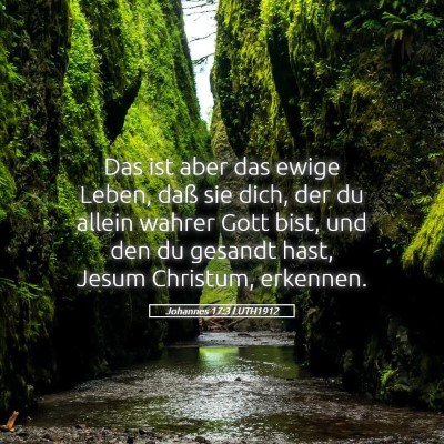 Picture 05 - Johannes 17:3 LUTH1912 - Das ist aber das ewige Leben, daß sie dich, der - Bible Verse Picture