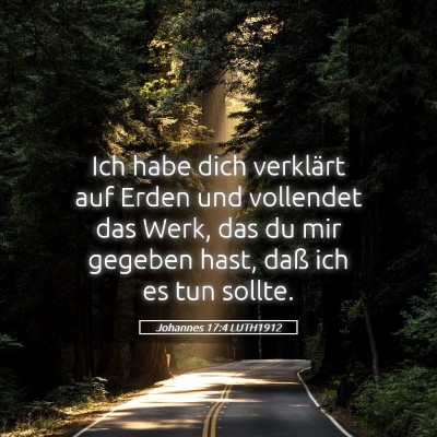 Picture 05 - Johannes 17:4 LUTH1912 - Ich habe dich verklärt auf Erden und vollendet - Bible Verse Picture
