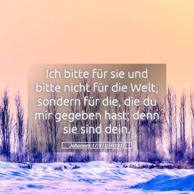 Picture 05 - Johannes 17:9 LUTH1912 - Ich bitte für sie und bitte nicht für die Welt, - Bible Verse Picture
