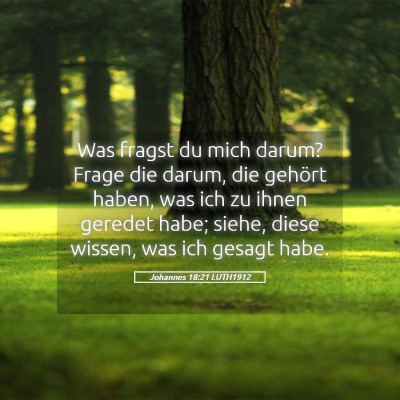 Picture 05 - Johannes 18:21 LUTH1912 - Was fragst du mich darum? Frage die darum, die - Bible Verse Picture