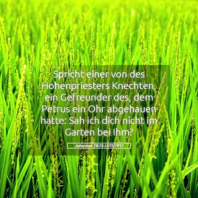 Picture 05 - Johannes 18:26 LUTH1912 - Spricht einer von des Hohenpriesters Knechten, - Bible Verse Picture