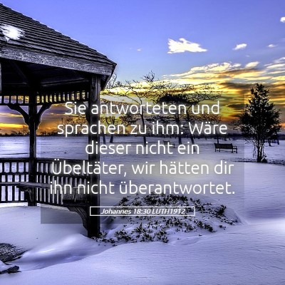 Picture 05 - Johannes 18:30 LUTH1912 - Sie antworteten und sprachen zu ihm: Wäre dieser - Bible Verse Picture