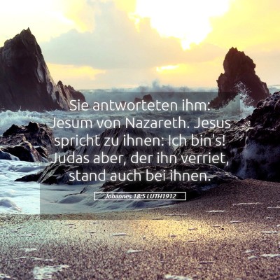 Picture 05 - Johannes 18:5 LUTH1912 - Sie antworteten ihm: Jesum von Nazareth. Jesus - Bible Verse Picture