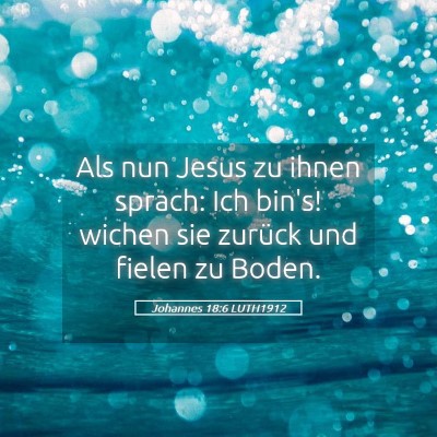 Picture 05 - Johannes 18:6 LUTH1912 - Als nun Jesus zu ihnen sprach: Ich bin's! wichen - Bible Verse Picture